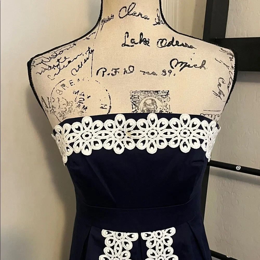 Lily Pulitzer Blue White Embroidered Strapless Classic Modern Dress Preppy - Picture 3 of 13